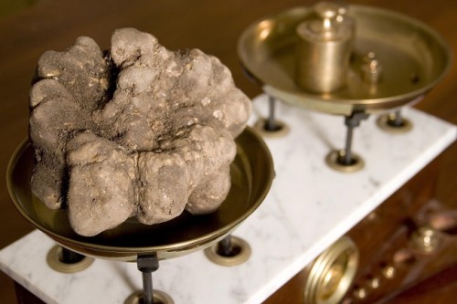 tartufo33