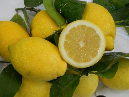 limonV